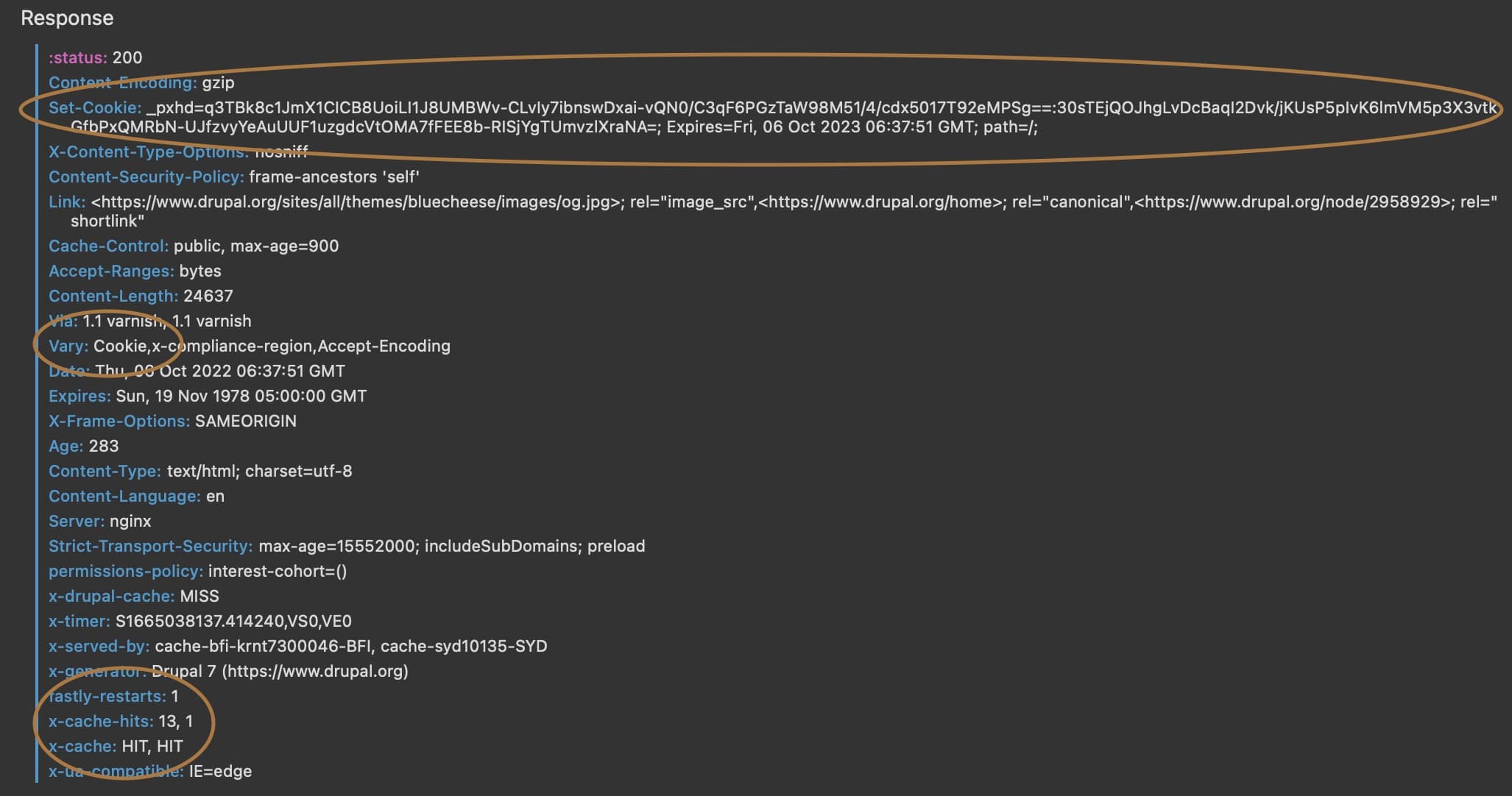 Drupal full page caching module released!