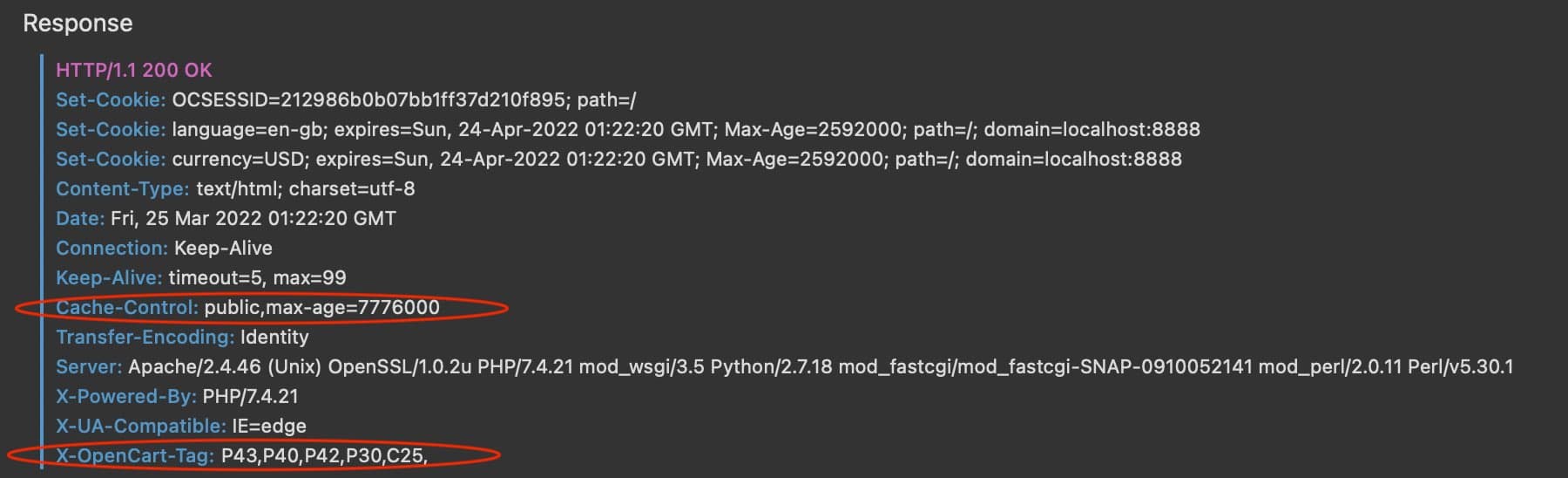 Opencart 3 [full page](/blog/drupal/drupal-purge-module/) caching headers
